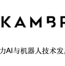 云端相聚，共享未来——深度解析我国分布式视频会议品牌发展之路，分布式视频会议品牌有哪些