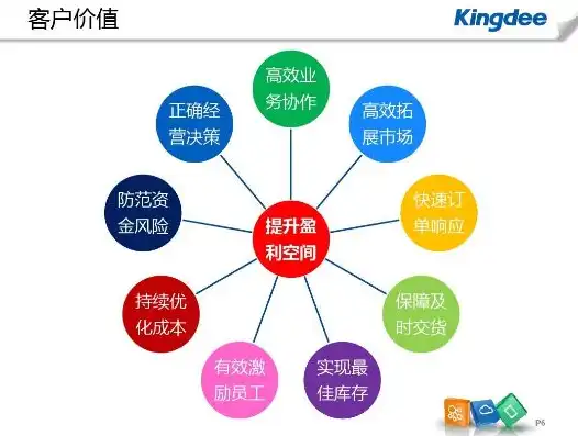 深入剖析金蝶V8.1软件的数据库类型与应用，金蝶专业版数据库类型