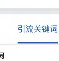 揭秘高效网站关键词排名软件，助力企业抢占搜索引擎流量高地，网站关键词排名软件下载