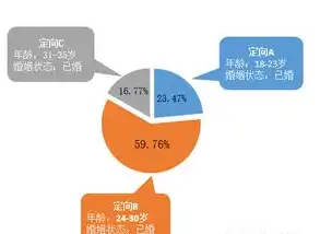 揭秘SEO按天计费工具，高效优化，精准控制成本，seo按天优化