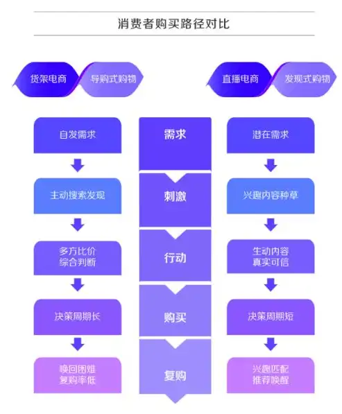 电商企业网站源码深度解析，构建高效电商平台的秘籍揭秘，电商企业网站源码是什么