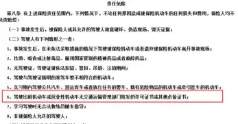 服务器租赁服务条款，详尽规定与权益保障指南，服务器租赁 条例规定