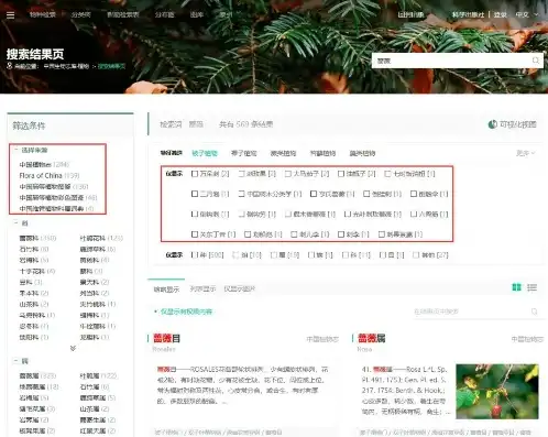 智能搜索引擎下拉框关键词批量查询功能，轻松实现高效信息检索，下拉列表查询选择