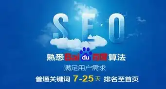 揭秘SEO快排技术，快速提升网站排名的秘密武器，seo快排的具体操作