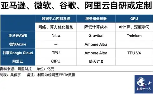 深入剖析阿里云服务器普通版，性能、应用及优化策略全解析，阿里云服务器用处