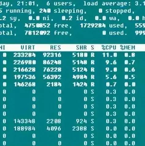 Linux服务器空间管理，深入剖析空间查看与优化策略，查看服务器空间使用情况