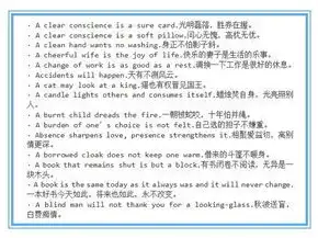 揭秘高效申请网站的秘诀，轻松实现梦想的跳板，申请网站域名要多少钱