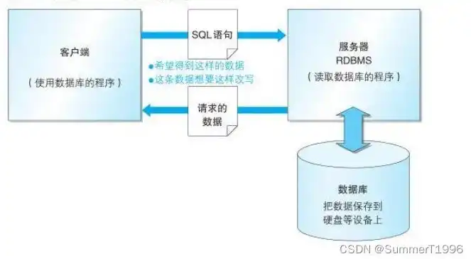 全面解析服务器数据库类型，多样性与适用场景详解，服务器数据库有哪些类型的