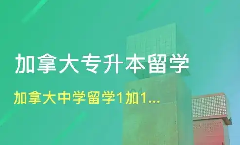 打造卓越贸易公司网站，全方位策略解析及制作指南，贸易公司网站制作软件