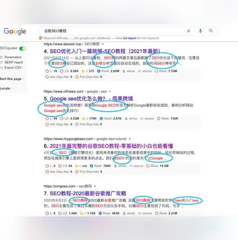 谷歌SEO入门指南，自己也能轻松掌握SEO优化技巧，自己能做谷歌seo吗