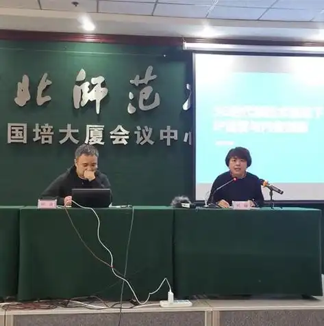 河北地区专业网站建设公司，一站式服务打造卓越品牌形象，河北网站建设公司排名