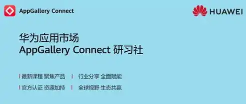 揭秘100m服务器租用，高效稳定的网络选择，助力企业快速成长，100m服务器多少钱