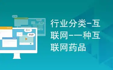 互联网时代，揭秘各种网站类型及其特点与功能，网站类型有哪些种类