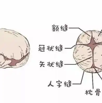 揭秘不同网站后缀背后的含义与功能，网站后缀co是什么意思