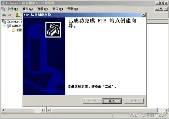 深入解析2003年流行的FTP服务器软件，功能特点与应用前景，windows 2003 ftp服务器