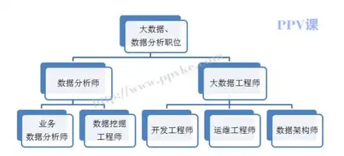 揭秘数据挖掘工程师，解码数据背后的奥秘，助力企业决策，数据挖掘工程师是干什么的