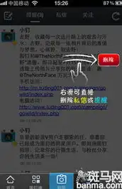 揭秘sns社交网站.net源码，揭秘社交网站核心技术与实战技巧，sns社交网站有哪些