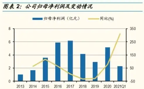 打造个性化网站，助力企业品牌腾飞——专业网站设计公司深度解析，设计网站的公司有哪些