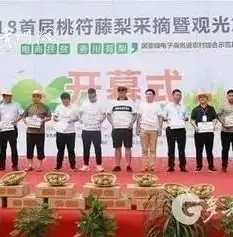 全方位解析商务网站建设，从策划到运营，打造高效商业平台，商务网站建设优势