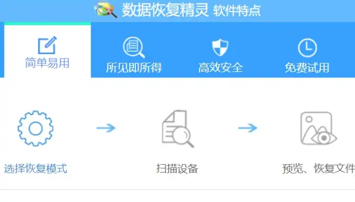 揭秘数据恢复精灵免费版，高效数据恢复背后的技术原理，数据恢复精灵需要收费吗