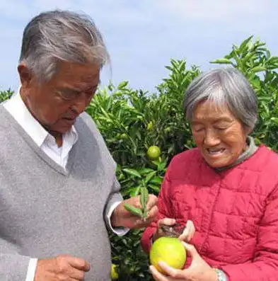 揭秘美橙服务器，究竟扎根何处，为何备受用户青睐？美橙互联服务器怎么样