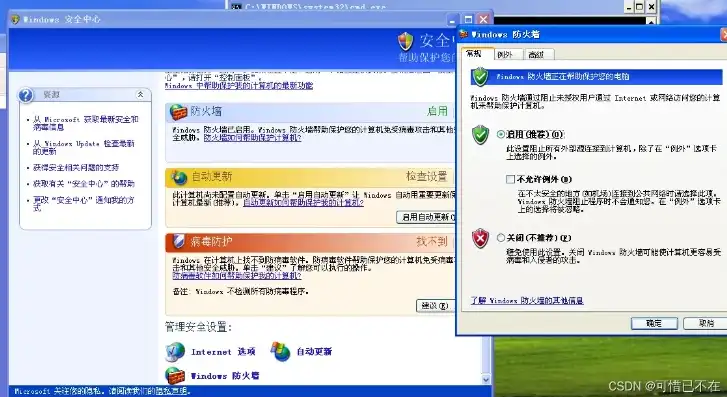 深入解析，从零开始搭建2003服务器，实现高效稳定运行，server2003搭建ftp服务器