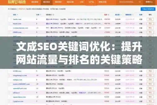 台州关键词SEO排名攻略，提升网站流量，抢占市场先机，台州关键词seo排名榜