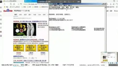 深入解析2008年SEO教程，挖掘经典技巧，助力网站优化，seo教程视频