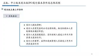 深入剖析，信息系统安全审计的全面内容解析，信息系统安全审计包含哪些内容和方法