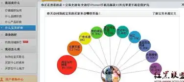 揭秘SEO360快速排名，高效提升网站流量的秘密武器！，seo快速排名服务