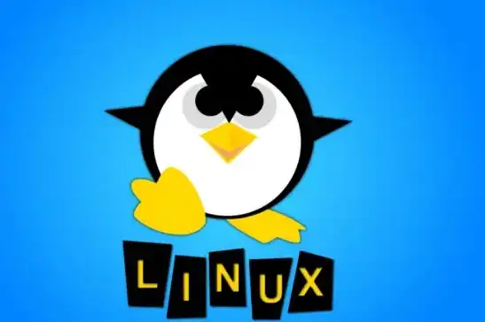 Linux云服务器免费？揭秘免费云服务器的利与弊，linux云服务器价格