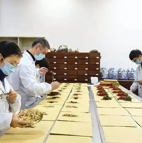 荆州地区专业网站建设服务，助力企业打造线上形象新高度，荆州本地网站