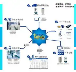 精准布局，高效执行，揭秘关键词网站运营的五大核心策略，网站关键词方案