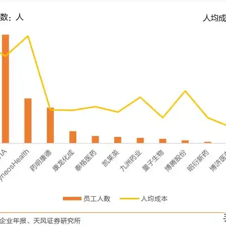 深入解析双因素身份认证系统，构建安全可靠的网络环境，双因素身份认证是什么