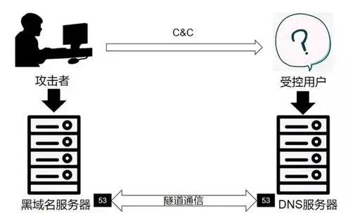 揭秘DNS服务器租赁费用，影响因素及优化策略，dns1服务器