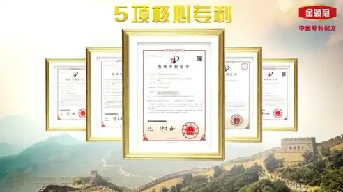 揭秘网站建设专家，专业打造卓越在线平台之道，网站建设专家证书