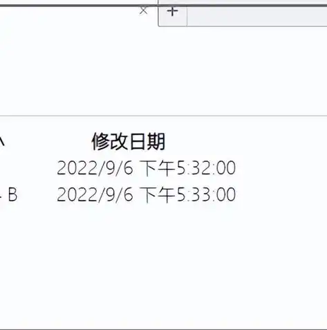 揭秘虚拟服务器价格之谜，全面解析不同类型与配置下的成本，购买虚拟服务器价格多少