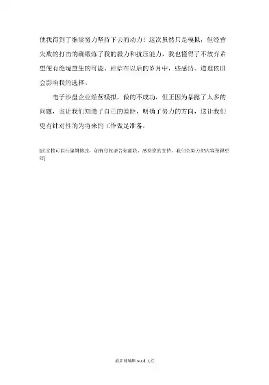 电商沙盘实战探秘，SEO策略在电商运营中的核心价值与实战解析，电商沙盘心得体会500字