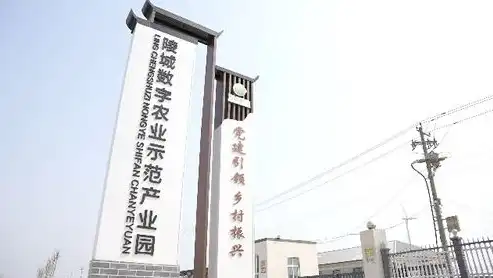 村镇建设管理平台，智慧化助力乡村振兴的数字引擎，村镇建设管理平台czjs