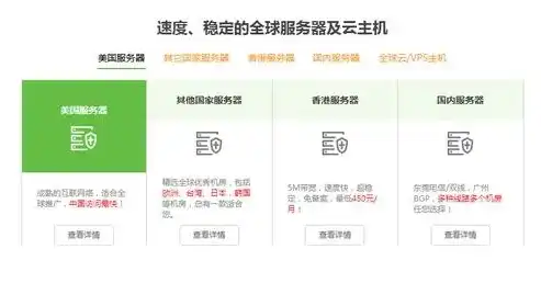 详解如何租用国外服务器，步骤、注意事项及选择指南，如何租国外服务器