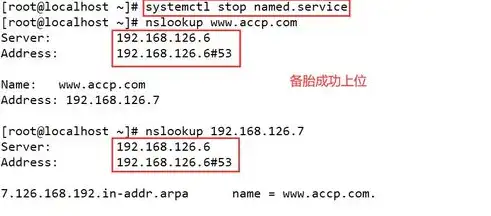 揭秘域名服务器成本，不同类型、配置及预算全解析，域名服务器多少钱一年