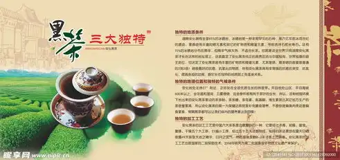 揭秘茶网站源码，打造个性化茶文化平台的秘密武器，茶叶网站模板