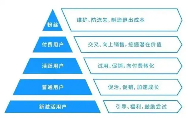 打造高效运营网站，策略与技巧全面解析，运营网站需要多少钱