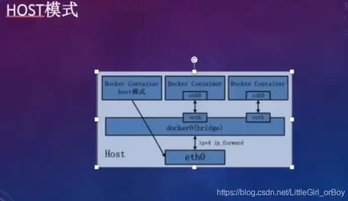 深入解析Host代理服务器，原理、优势及操作指南，host 代理