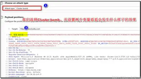 深入探讨网页关键词加入的策略与应用，网页 关键词 加入怎么弄