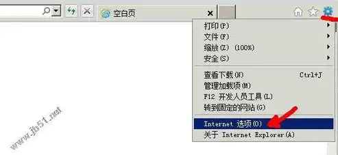 深入解析服务器标记格式不正确 ASP，原因、影响及解决方案，服务器标记的格式不正确 创建控件时出错怎么办