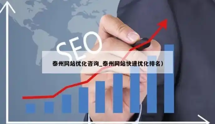 深耕泰州网站SEO领域，专业SEO公司助力企业腾飞，泰州网站seo公司有哪些