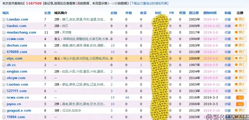 揭秘域名抢注网站源码，掌握核心，开启财富之门，域名抢注网站源码是什么