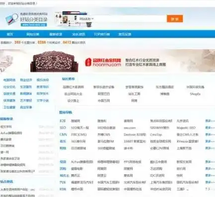 网站类型全面解析，从内容到功能，带你领略网络世界的多样性，网站类型分类有哪些方法