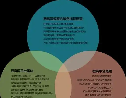 探索网络时代，关键词的力量与魅力，关键词 网络